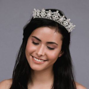 NWT ANSONIA Bridal Crown Headpiece
